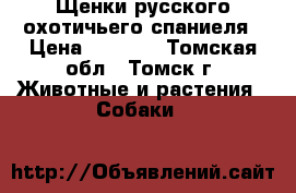 Щенки русского охотичьего спаниеля › Цена ­ 4 000 - Томская обл., Томск г. Животные и растения » Собаки   